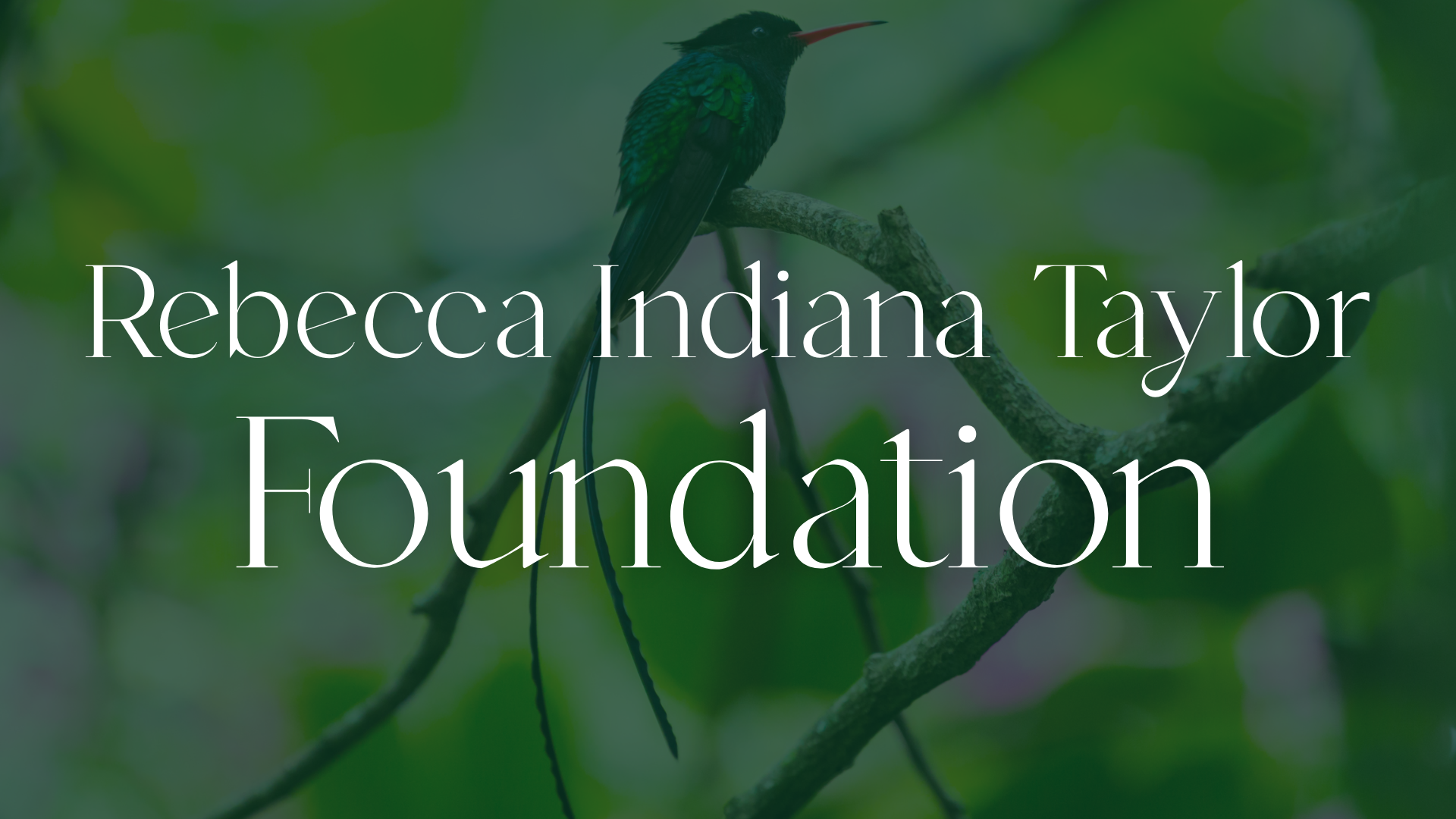 Rebecca Indiana Taylor Foundation Header Photo